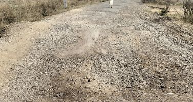 देऊळगाव घुबे ते अमोना रस्ता झाला तरी खाव्या लागतात खस्ता! त्या रोड वरील गिट्टी क्रेशर वाल्यांनी रस्त्याची लावली वाट! अमोना येथील अनेक गावातील लोकांच्या मनक्यात गॅप पडले!